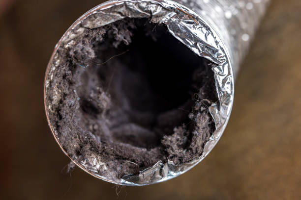 Best Local Air Duct Cleaning Services  in Castle Point, MO