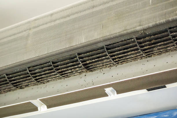 Best Professional Duct Cleaning Services  in Castle Point, MO